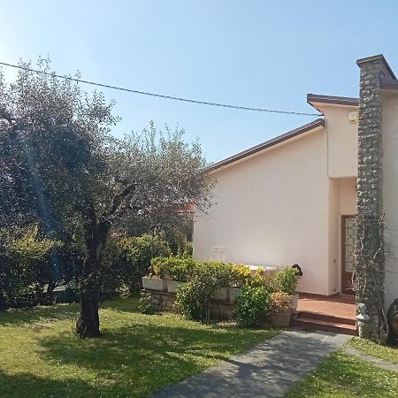 Casa Del Nonno Villa Pietrasanta Dış mekan fotoğraf